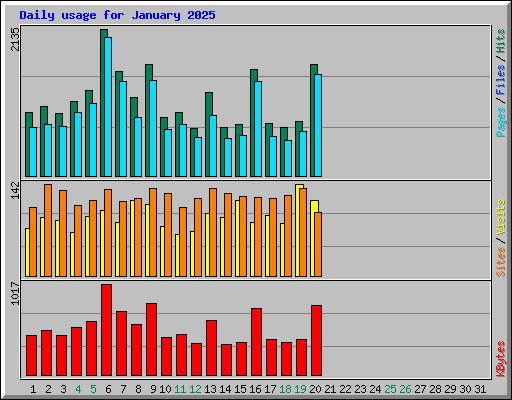 Daily usage for January 2025