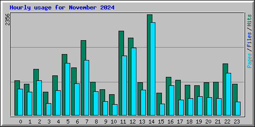 Hourly usage for November 2024