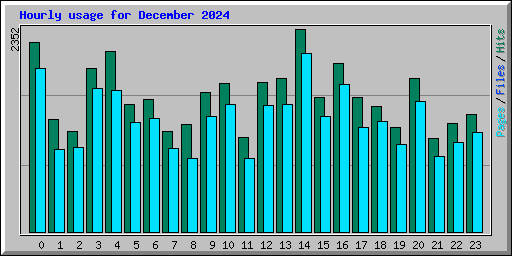 Hourly usage for December 2024