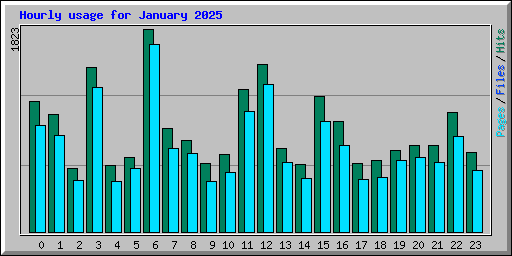 Hourly usage for January 2025